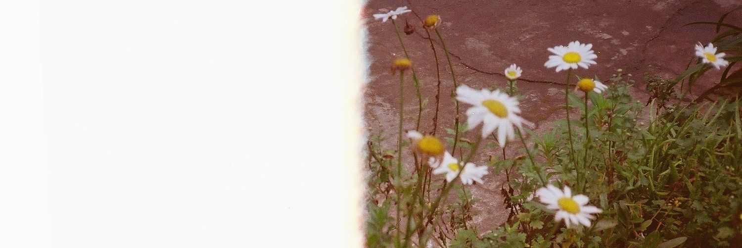 iu_melni's profile banner image