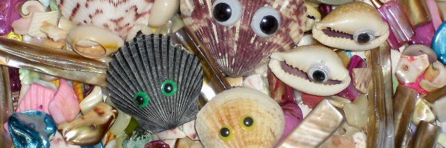 seeshells's profile banner image