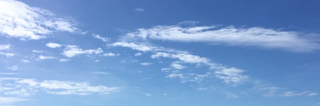 arynplett's profile banner image