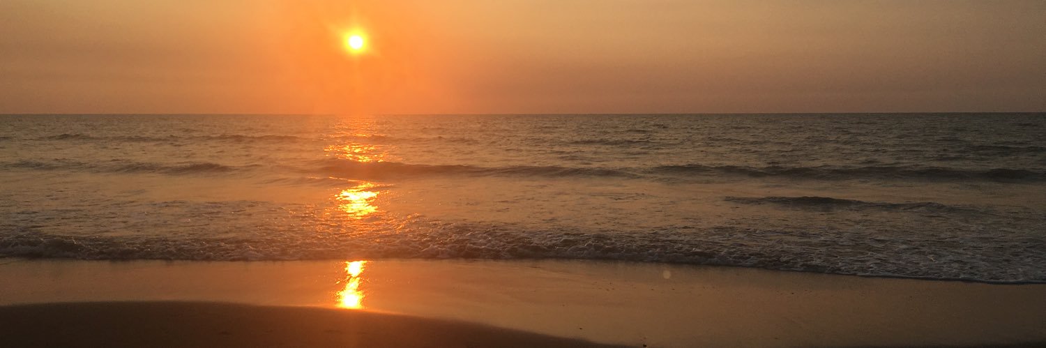 jodijodegu's profile banner image