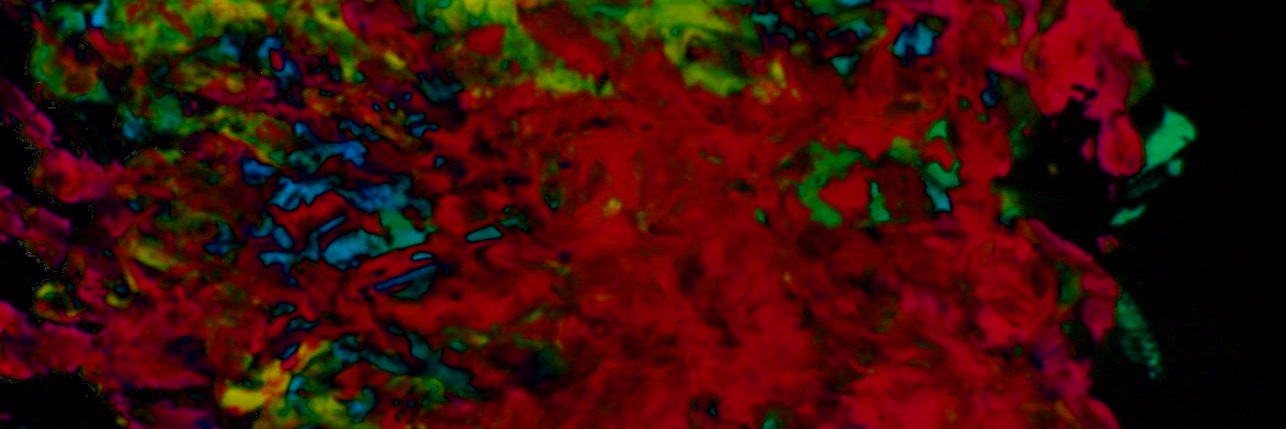 cirotix's profile banner image