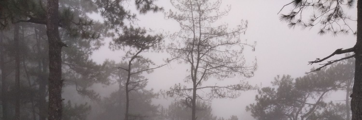ryeukendatto's profile banner image
