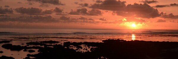 Katanoun Profile Banner