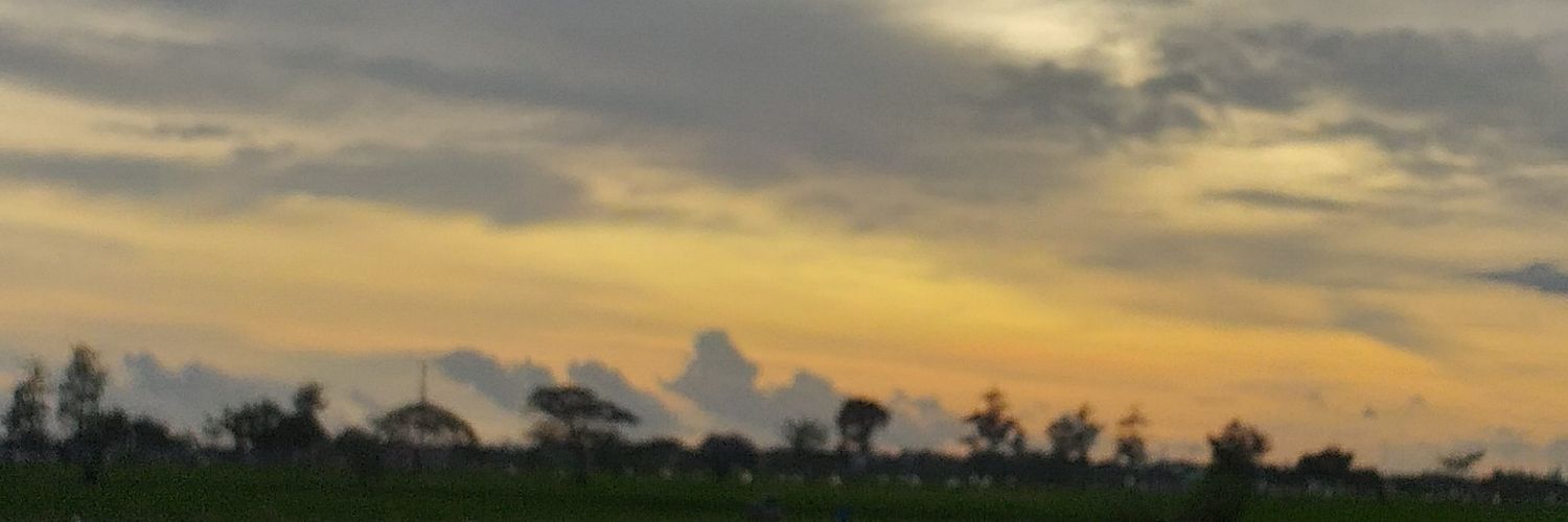 normlit's profile banner image