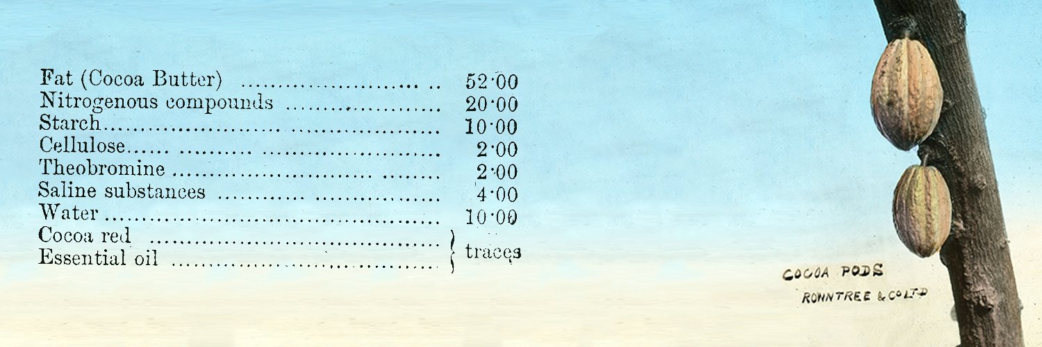 The Rowntree Society banner