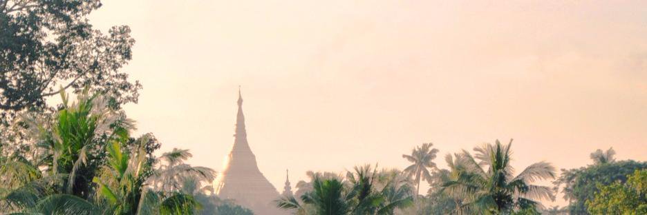 ncorlin's profile banner image