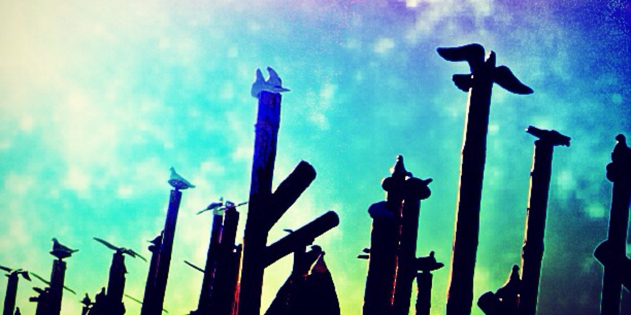 sorkan's profile banner image