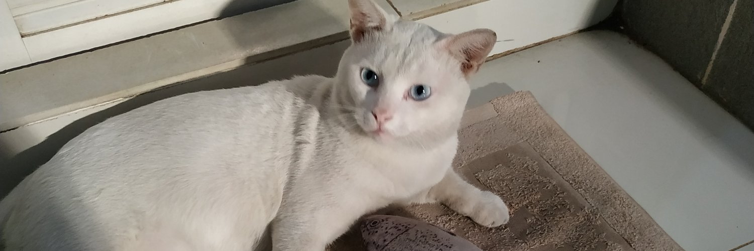 DyllValiant's profile banner image