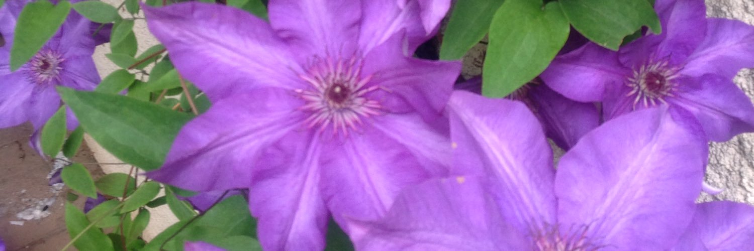 WillyLAWIN's profile banner image