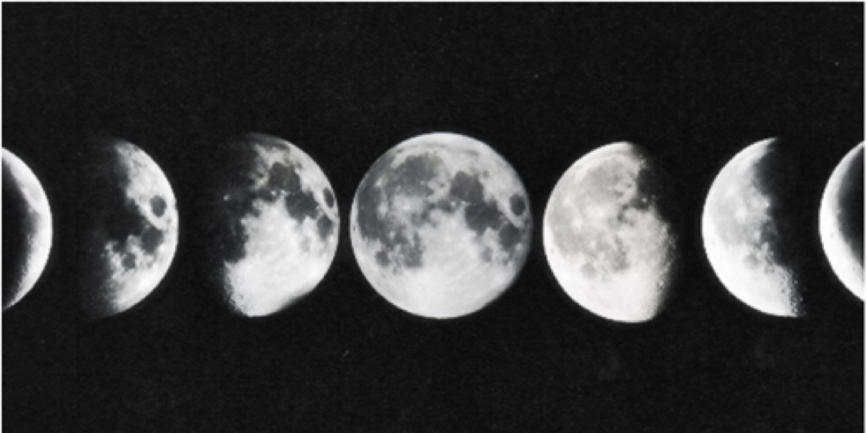 gina_ma's profile banner image