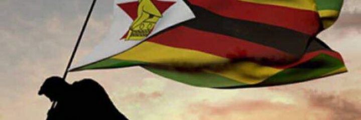 THE REFORMIST🇿🇼 banner