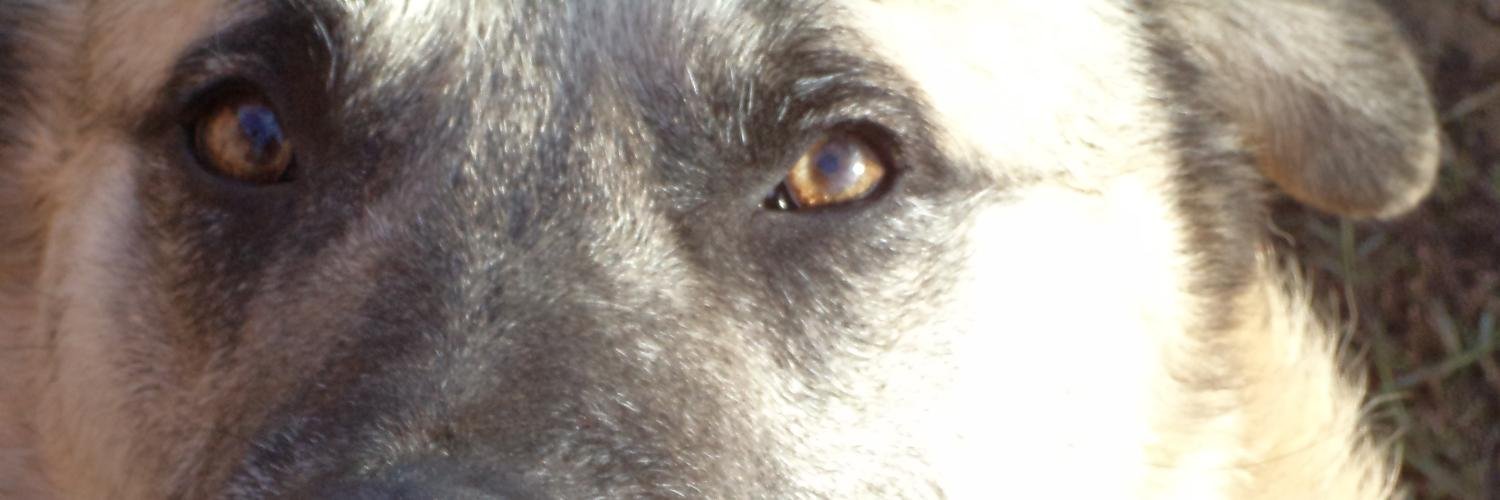 genc0's profile banner image