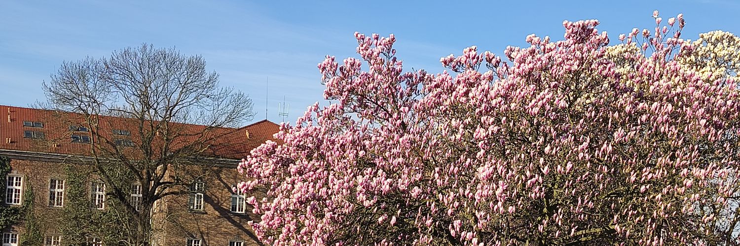 ArthurusScriba's profile banner image
