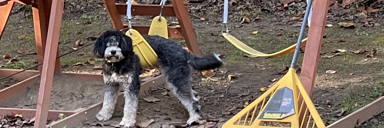 Mitch Wingrove banner