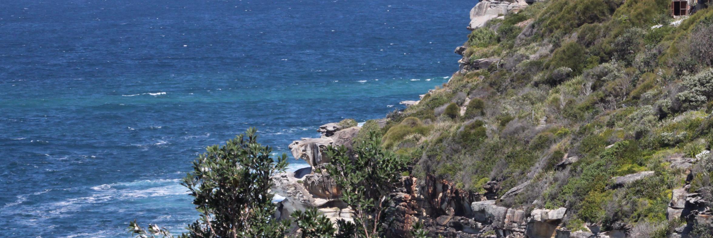 MSuttonSydney's profile banner image