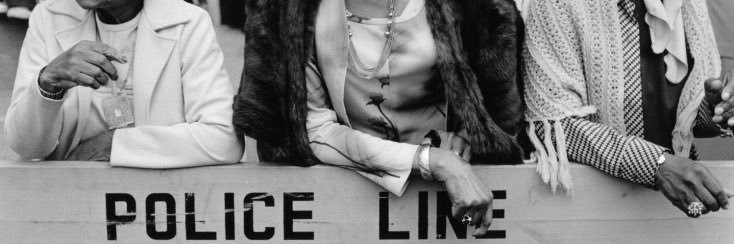 bee so for real 🐝 banner
