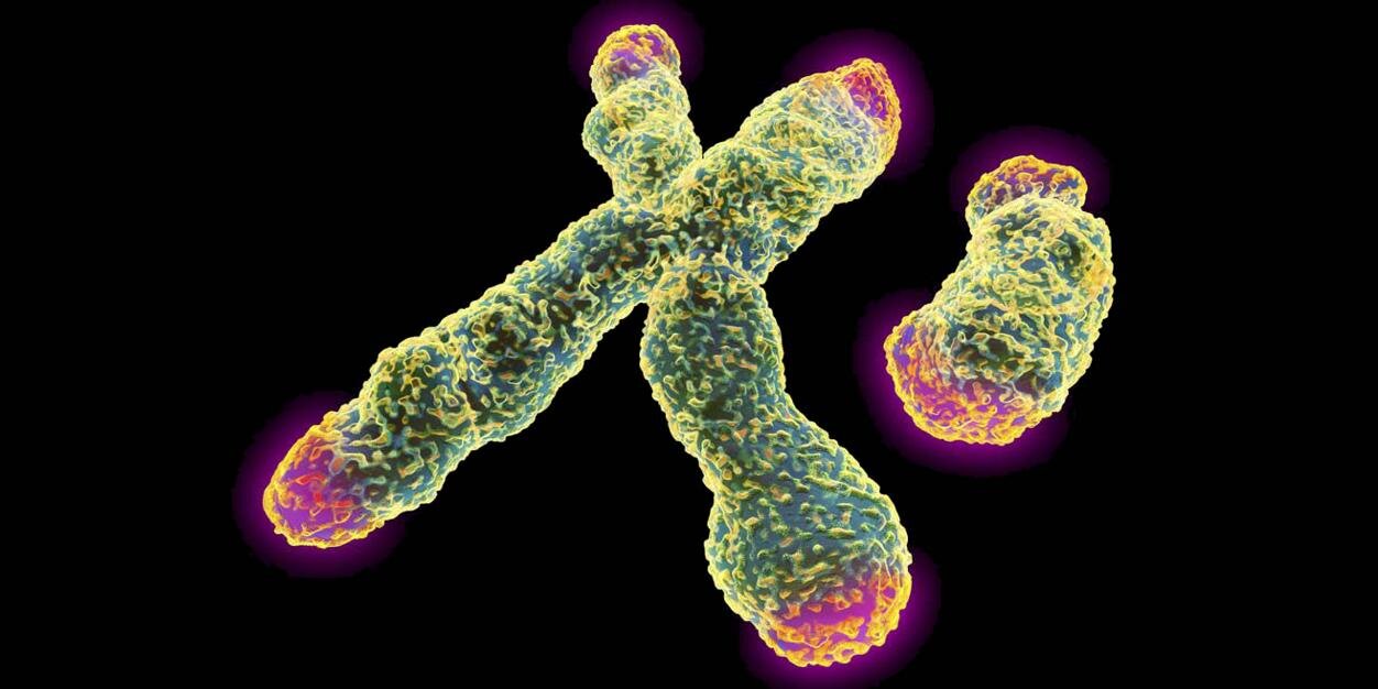Javi Díaz Castromil banner