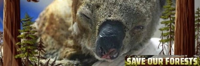 bubu_tequila's profile banner image