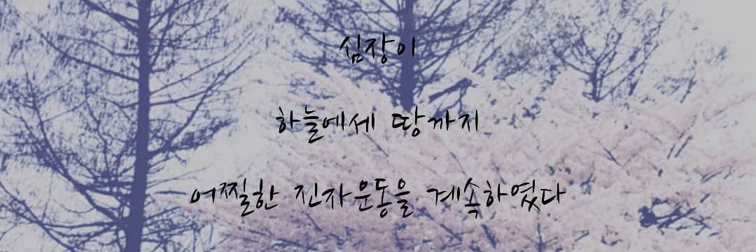 anyabaharuddin's profile banner image