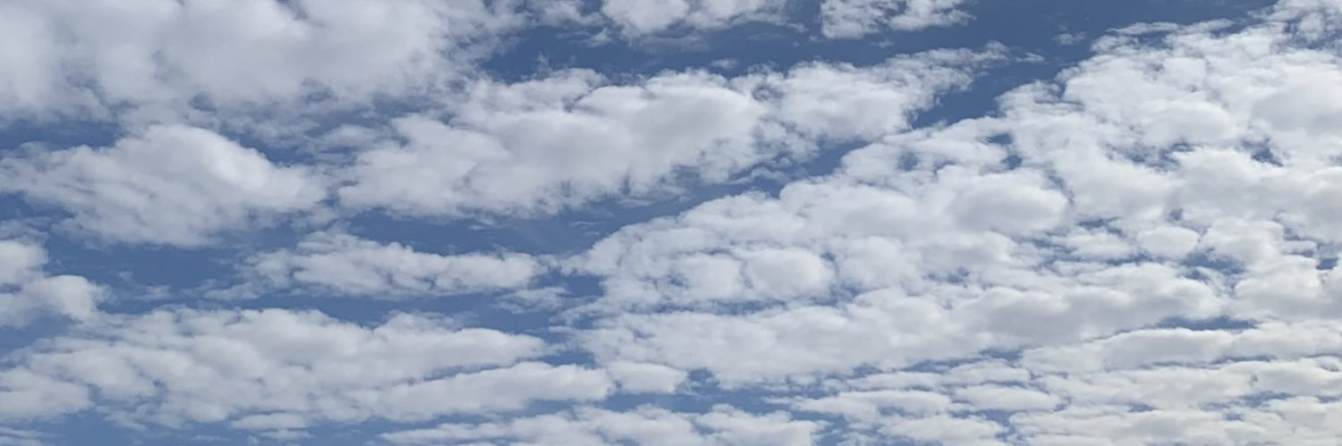 lssis_'s profile banner image