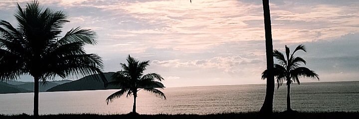 bibiferc's profile banner image
