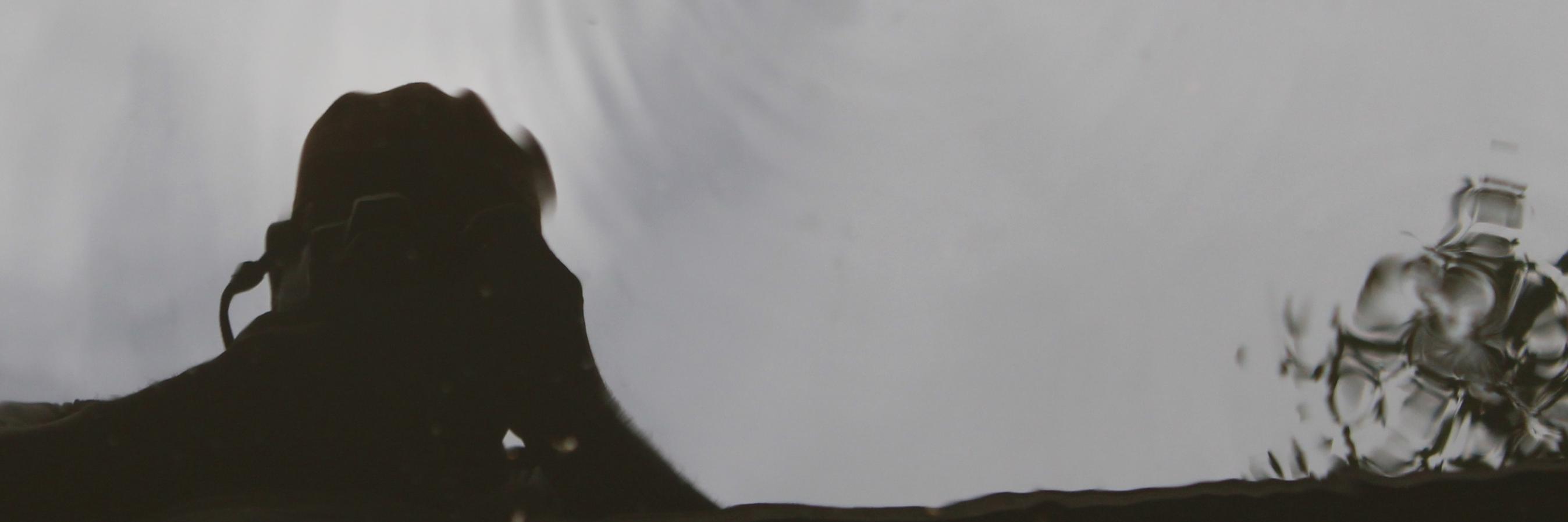 evericka4433's profile banner image