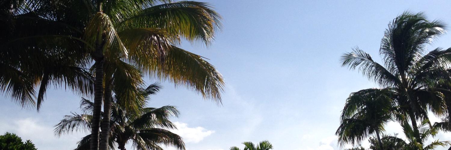 lucioustam's profile banner image