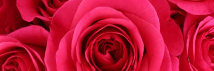 Liyah_Rangee's profile banner image