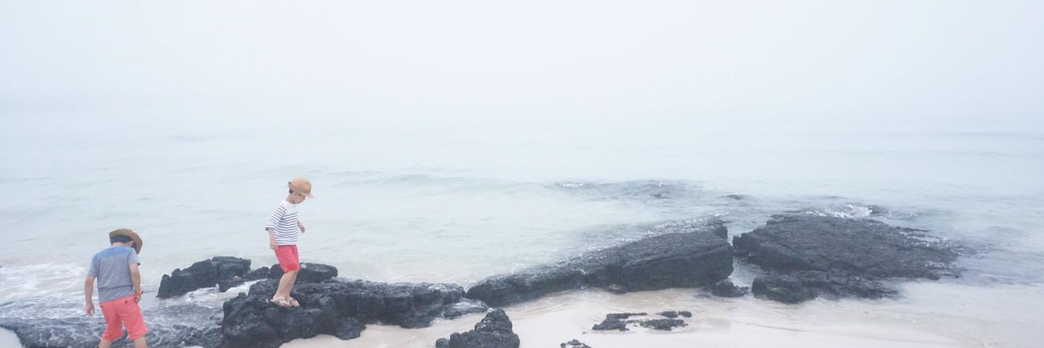 꿀자몽 banner