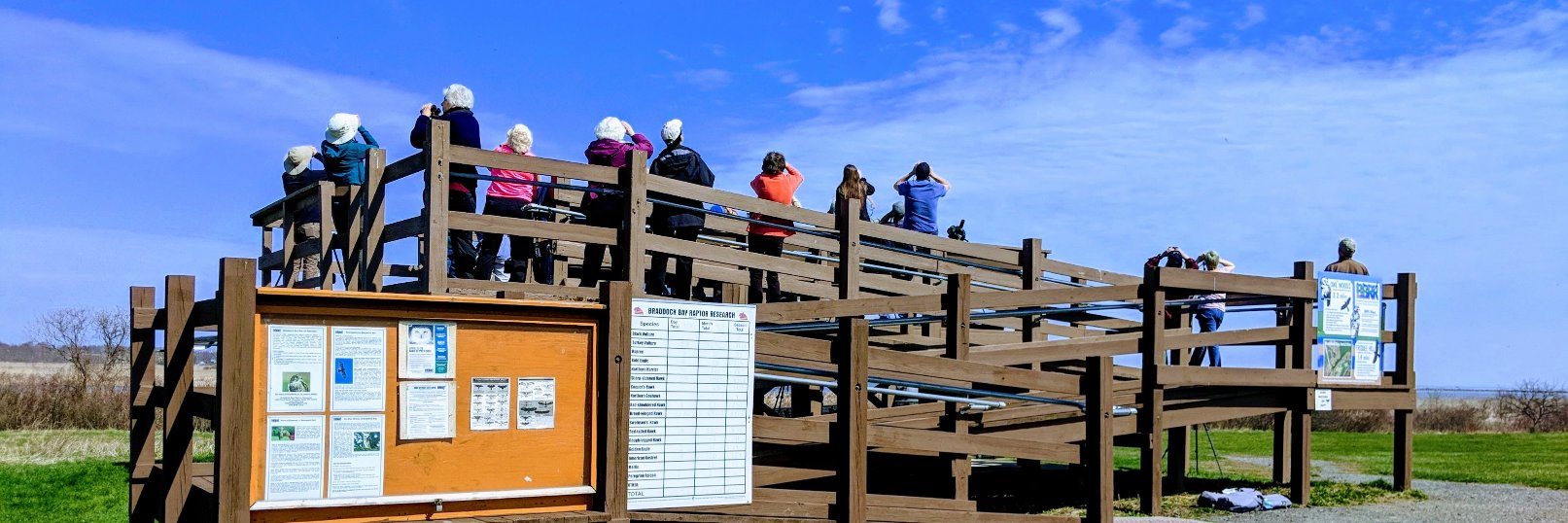 Braddock Bay Raptor Research (@BraddckBayHawks) / Posts / X