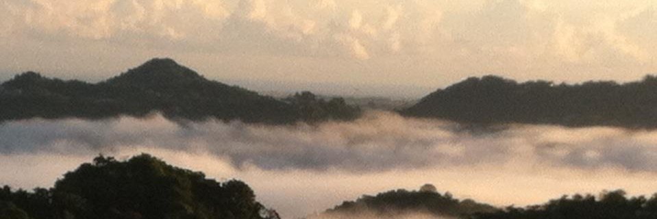 marimerodriguez's profile banner image