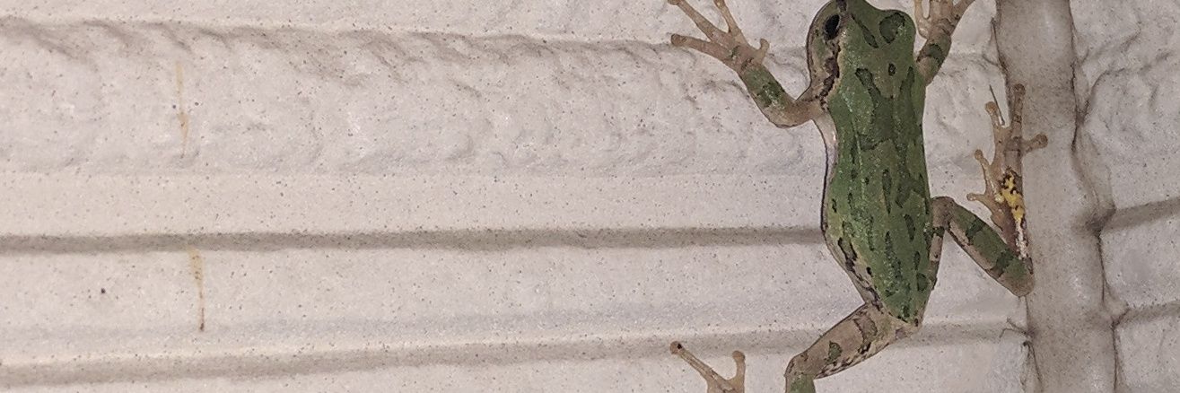melememe's profile banner image