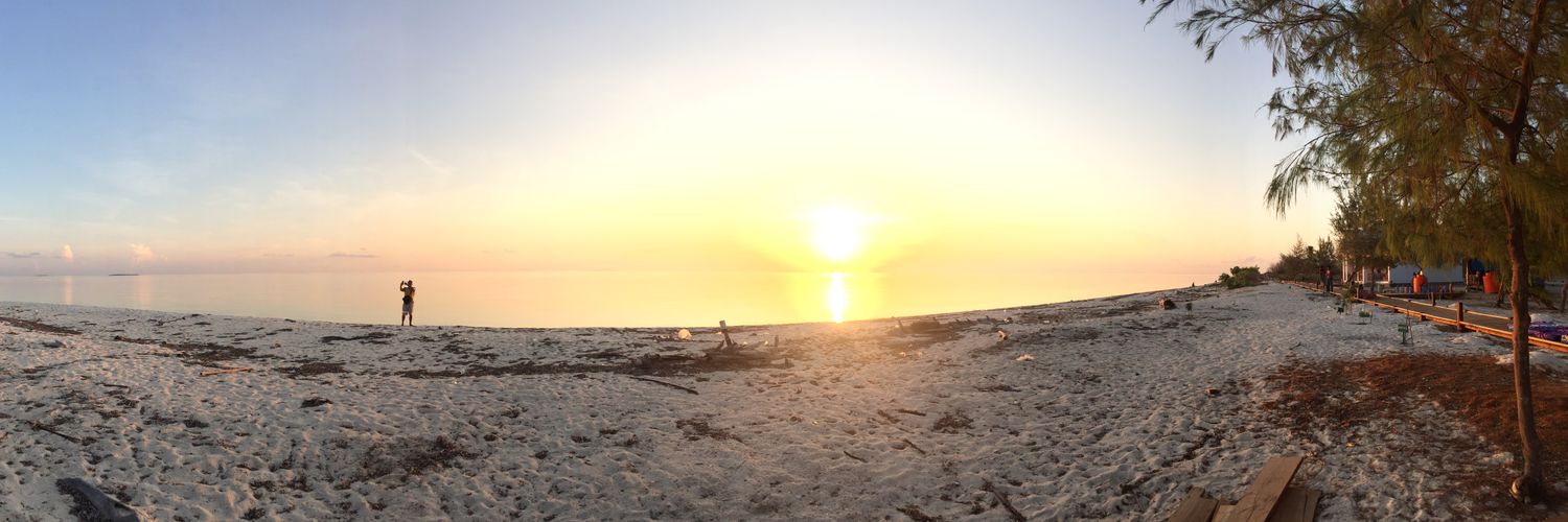 bonggotop's profile banner image