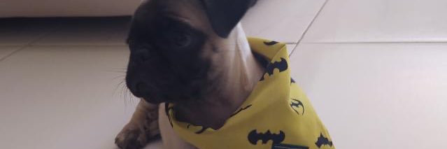 Carlos0401's profile banner image