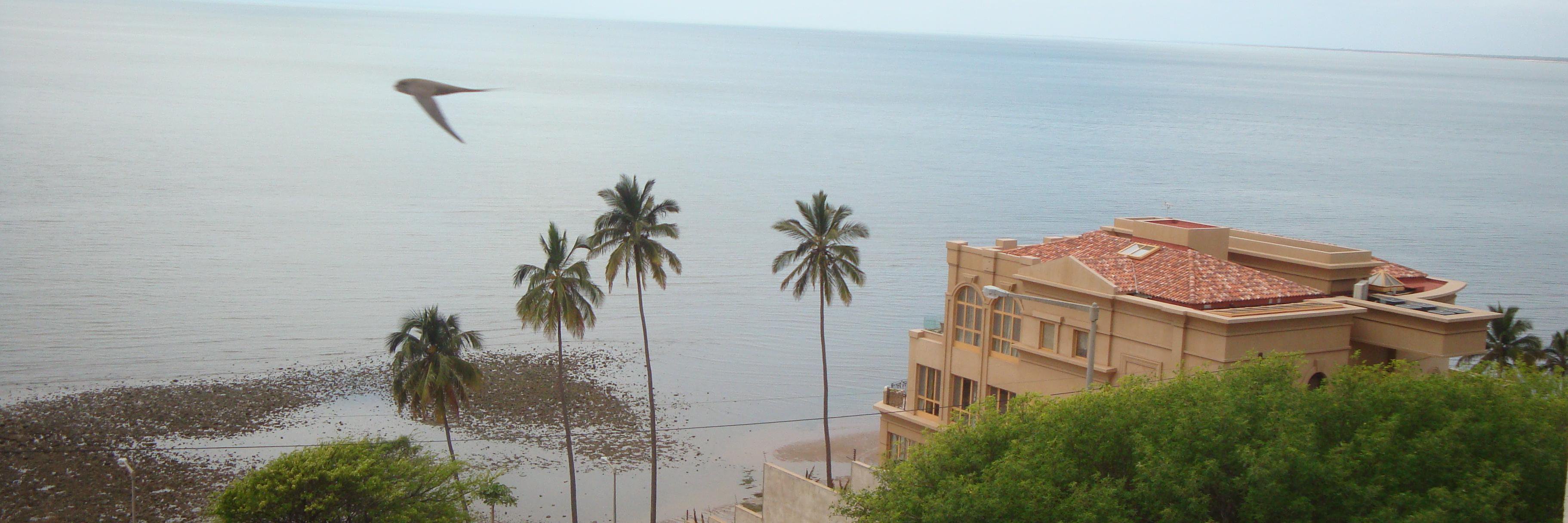 SpecialiTC's profile banner image