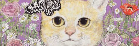 iris3y's profile banner image