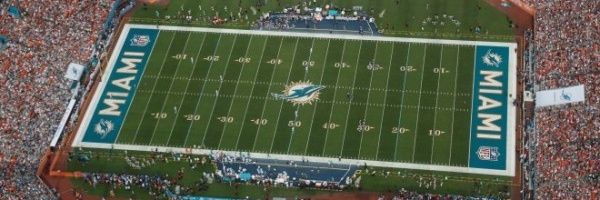 DolphinJoe's profile banner image