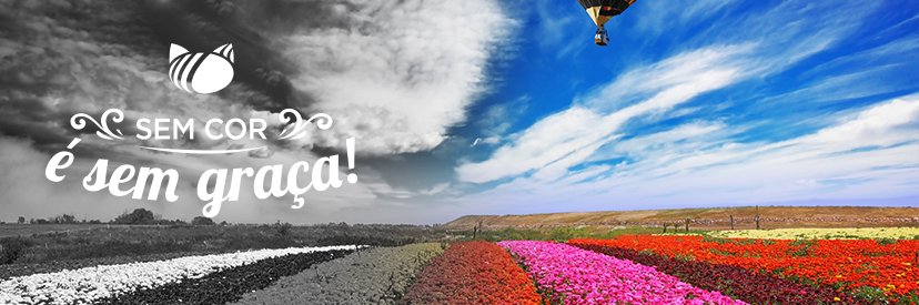 ibratin's profile banner image