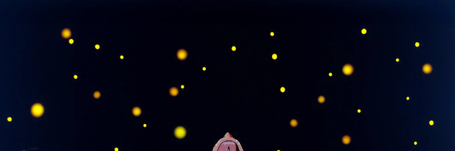 zeynep tufekci's banner