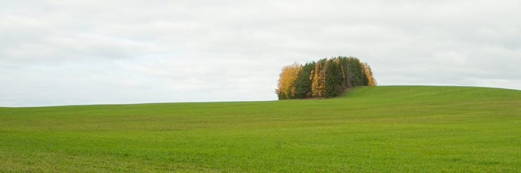 giocav's profile banner image