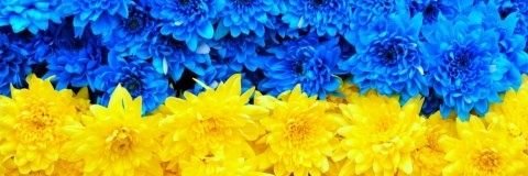 Rick Cooper 🫘 banner