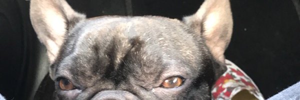 Cherix Profile Banner