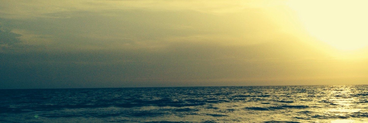 cyclonestein's profile banner image