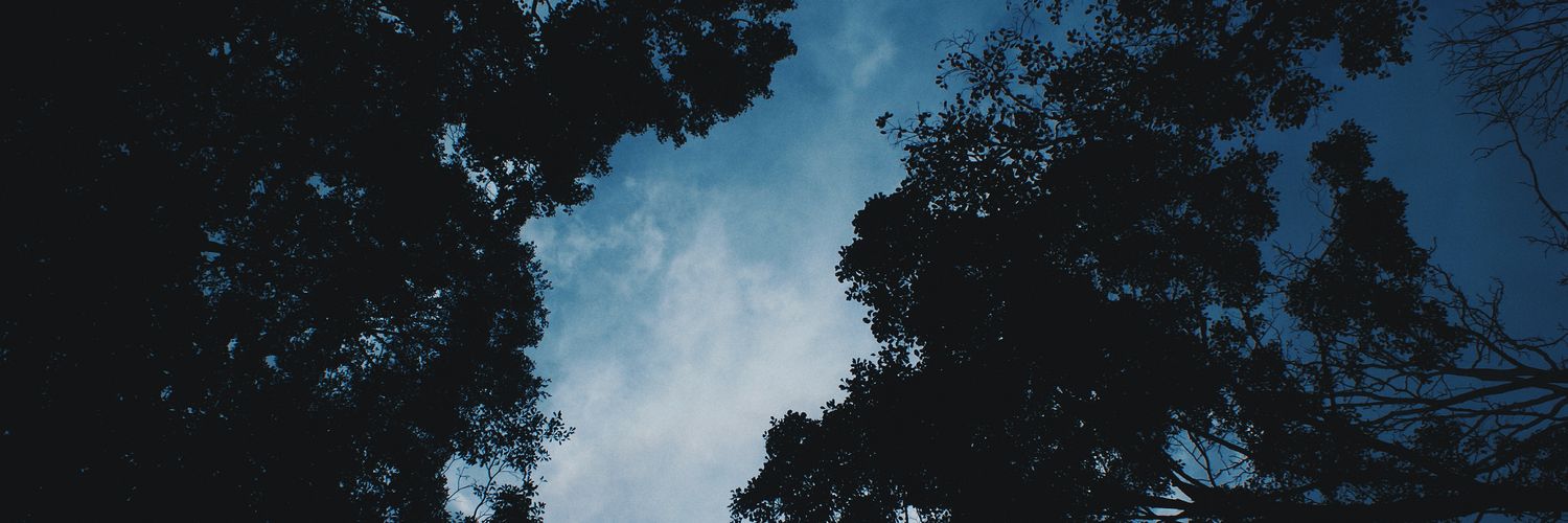 harshitb_'s profile banner image