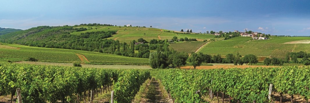 GaillacTourisme's profile banner image