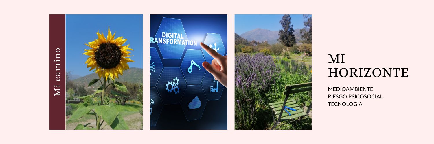 David Toro Herrera banner