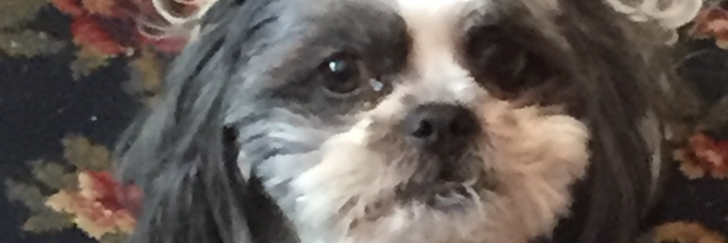 ashp101383's profile banner image