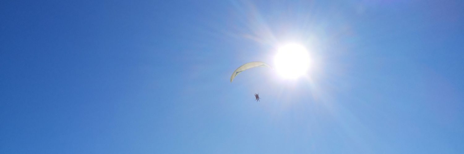 Fran McIntyre banner