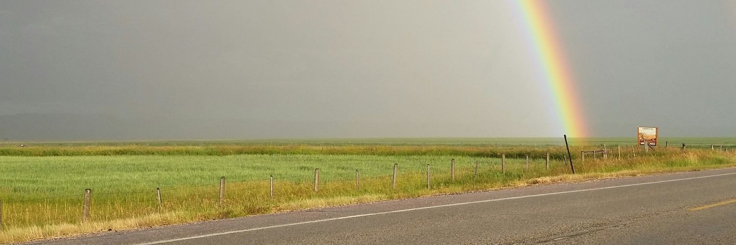 jillmimo's profile banner image