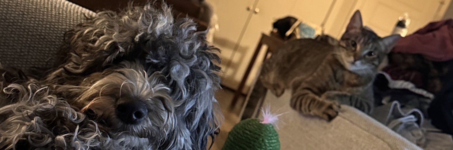 BGatica1's profile banner image